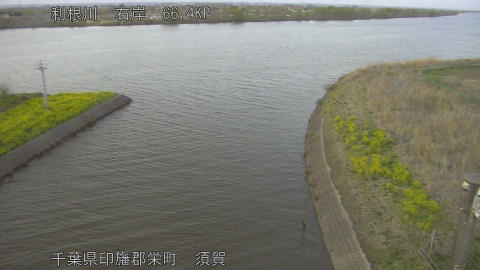 tonsu2026032718_image