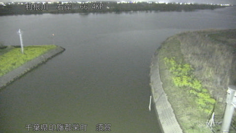 tonsu2026032722_image