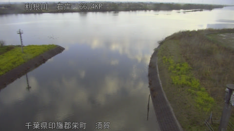 tonsu2026032807_image