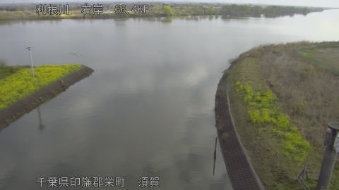 tonsu2026032808_image