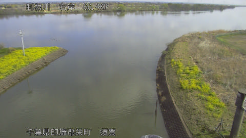 tonsu2026032809_image