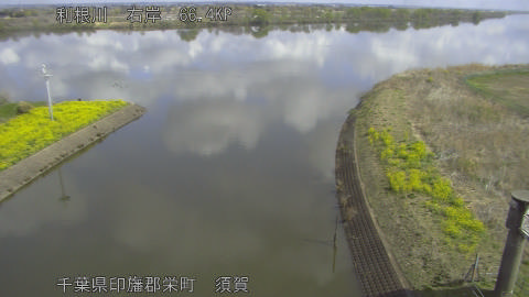 tonsu2026032810_image