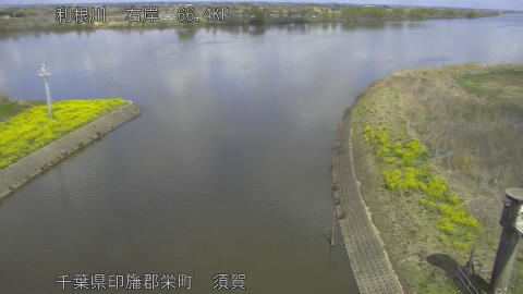 tonsu2026032812_image