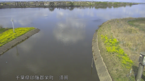 tonsu2026032814_image