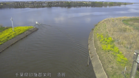 tonsu2026032815_image