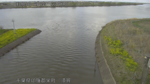 tonsu2026032816_image