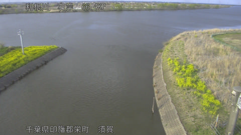 tonsu2026032817_image