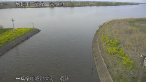 tonsu2026032818_image