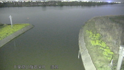 tonsu2026032822_image