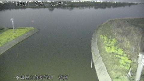 tonsu2026032900_image