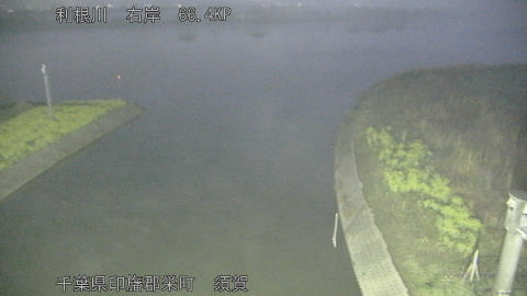 tonsu2026032905_image