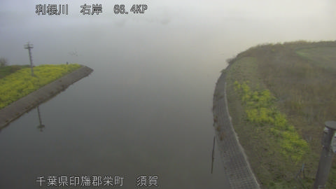 tonsu2026032906_image