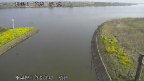 tonsu2026032909_image