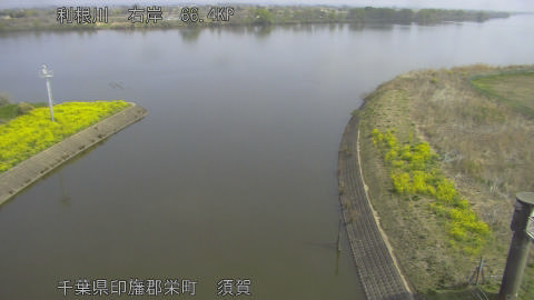 tonsu2026032910_image