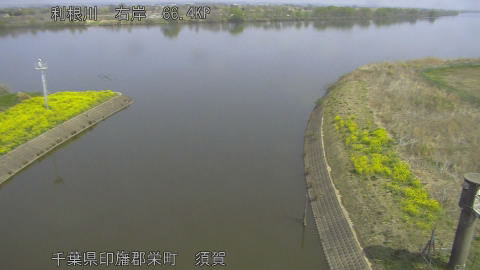 tonsu2026032911_image