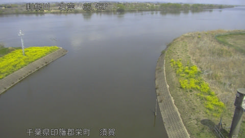 tonsu2026032912_image