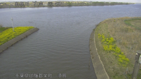 tonsu2026032914_image