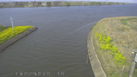 tonsu2026032915_image