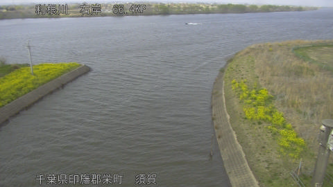 tonsu2026032916_image