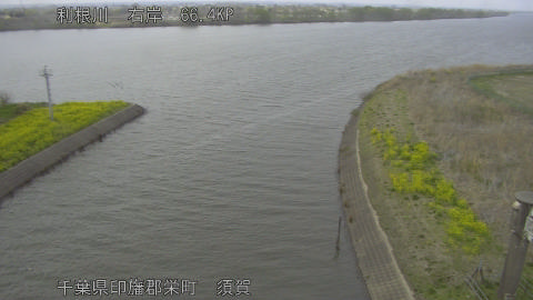 tonsu2026032917_image