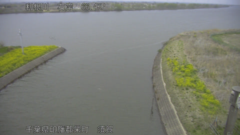 tonsu2026032918_image