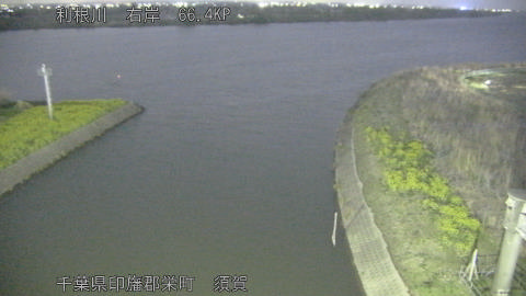 tonsu2026032919_image