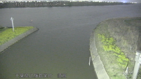 tonsu2026032920_image