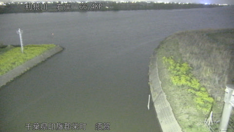 tonsu2026032921_image