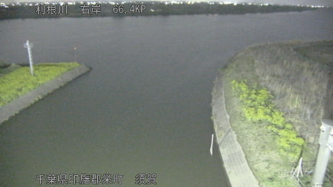 tonsu2026032922_image