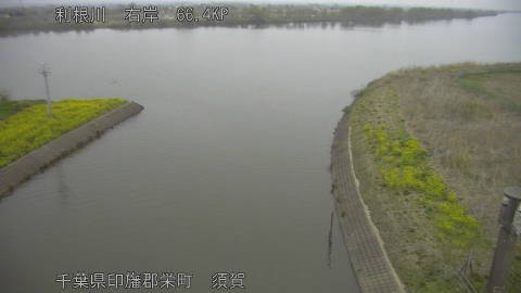 tonsu2026033006_image