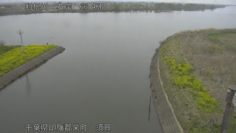 tonsu2026033007_image