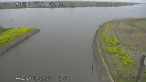 tonsu2026033008_image