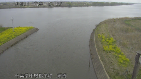 tonsu2026033009_image