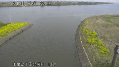 tonsu2026033010_image