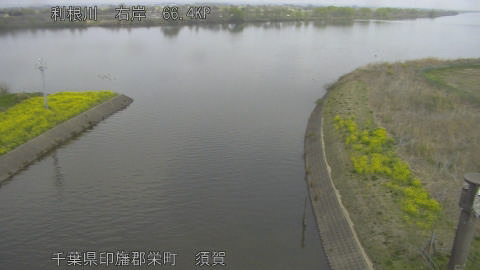 tonsu2026033011_image