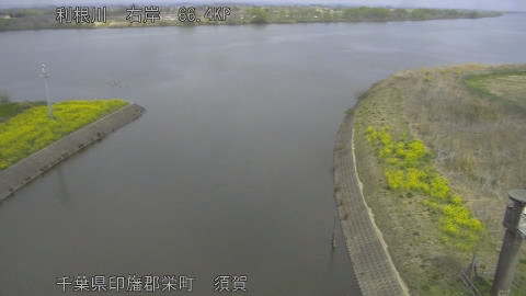 tonsu2026033012_image