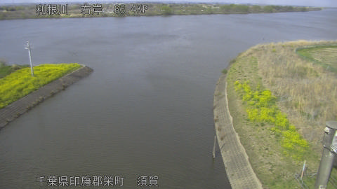 tonsu2026033015_image