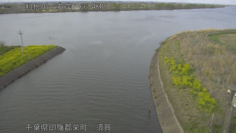 tonsu2026033017_image