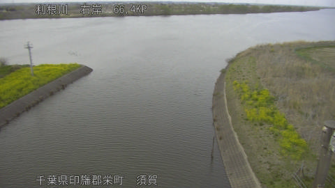 tonsu2026033018_image