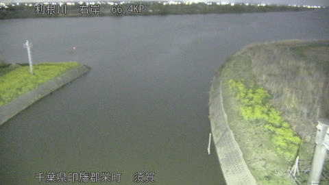 tonsu2026033023_image