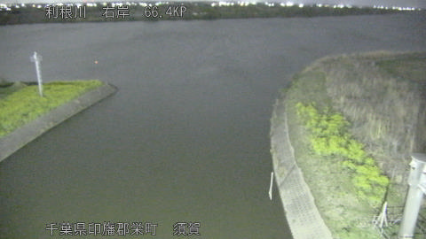 tonsu2026033101_image