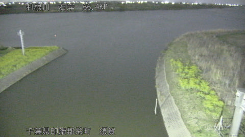 tonsu2026033102_image