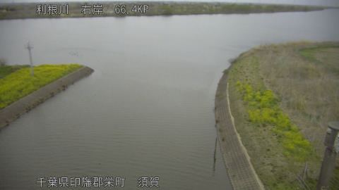 tonsu2026033106_image