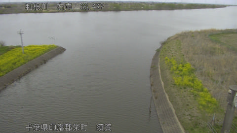 tonsu2026033107_image