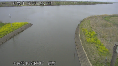 tonsu2026033108_image