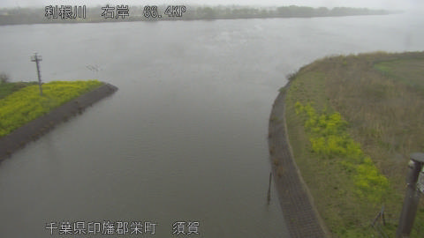 tonsu2026033110_image