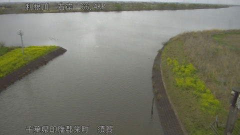 tonsu2026033111_image