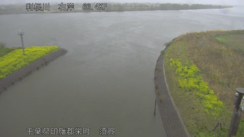 tonsu2026033112_image