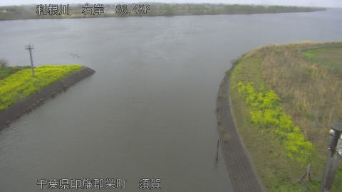 tonsu2026033113_image