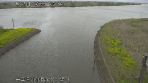 tonsu2026033114_image